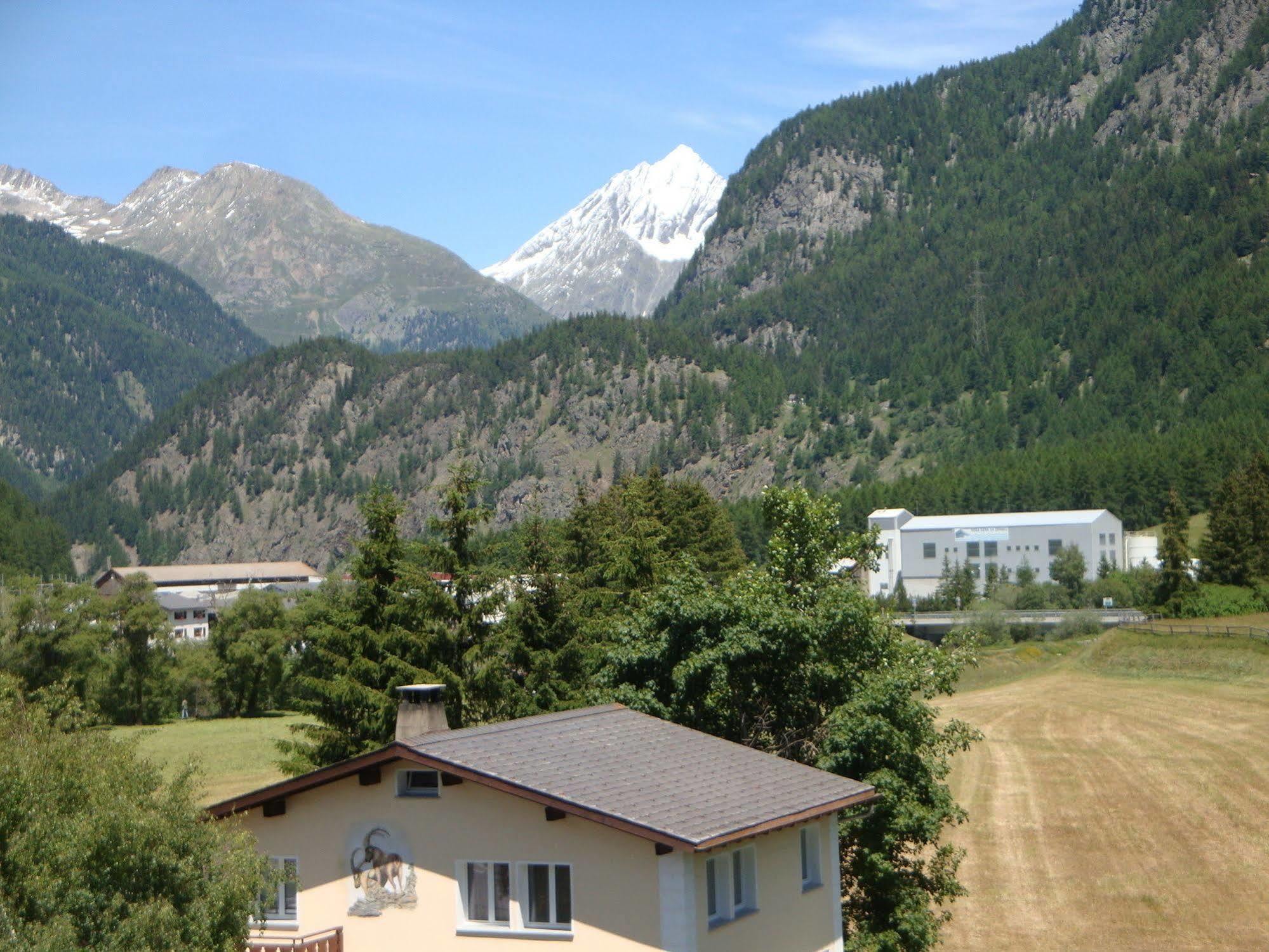 Acla Filli Zernez